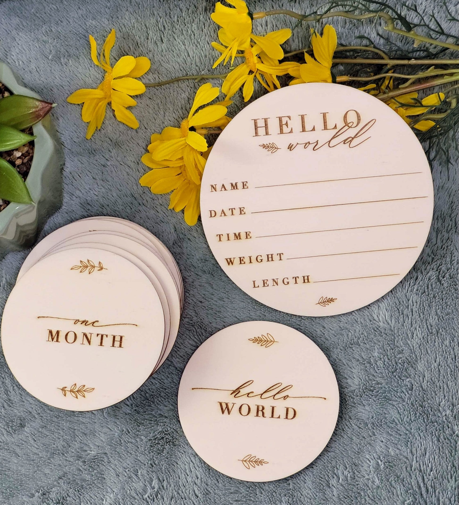 Wooden Baby Monthly Milestone Circles 1-12 Month
