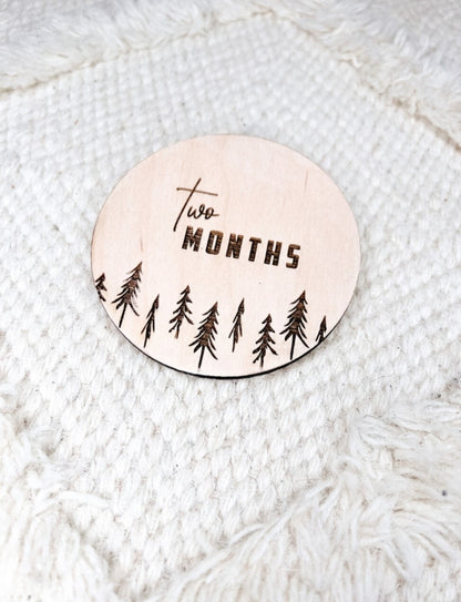 Wooden Baby Monthly Milestone Circles 1 Month to One Year Forest design
