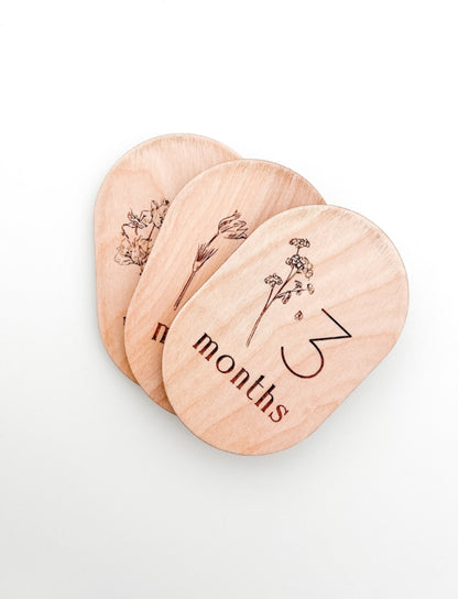 Wooden Baby Monthly Milestone Circles 1 - 12 Months and Closet Dividers