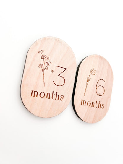 Wooden Baby Monthly Milestone Circles 1 - 12 Months and Closet Dividers