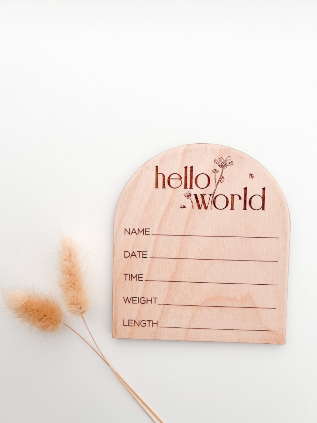 Wooden Baby Monthly Milestone Circles 1 - 12 Months and Closet Dividers